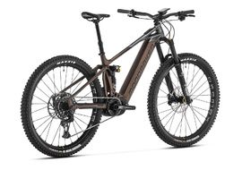 Mondraker Crafty XR - Bronze / Gris 2024