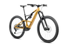 Orbea Rise LT H20 - Bumblebee Yellow-Black 2025